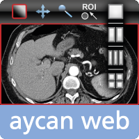 Icon aycan web